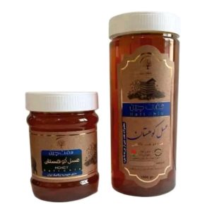 عسل کوهستان دکتر خیراندیش (500 گرم)