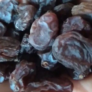 مویز شیرازی تپلی