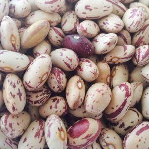 لوبیا چیتی اعلا ( 600 گرم)